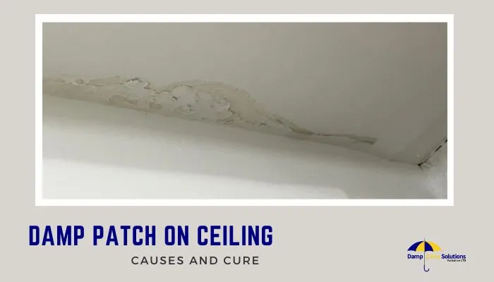 Brown Stain on Ceiling: Leak or Damp? A Technical Analysis